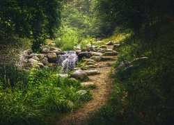 Strumyk płynący po kamieniach w parku Britzer Garten w Berlinie