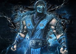 Sub Zero z gry Mortal Kombat