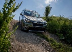 Subaru Forester na pochyłej polnej drodze