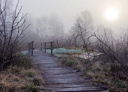 Sucha trawa i bezlistne krzewy przy drewnianym mostku