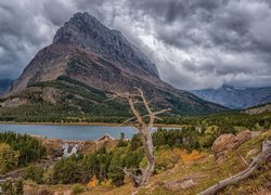 Góry, Jezioro, Swiftcurrent Lake, Suche, Drzewo, Park Narodowy Glacier, Montana, Stany Zjednoczone