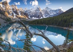 Kanada, Alberta, Park Narodowy Banff, Góry, Jezioro Moraine, Las, Drzewa, Suche, Konary, Chmury, Odbicie