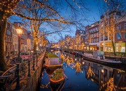 Świąteczna iluminacja drzew nad kanałem w Amsterdamie