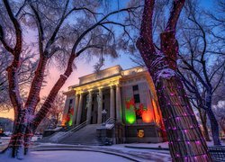 Stany Zjednoczone, Arizona, Prescott, Dom, Courthouse, Drzewa, Zima