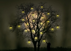 Drzewo, Światełka, Noc, Księżyc,  Fantasy
