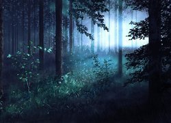 Światło dzienne wpadające do ciemnego lasu