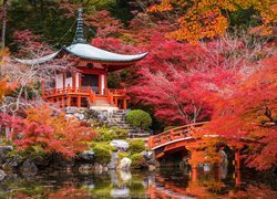 Japonia, Kioto, Kompleks świątynny Daigo-ji, Świątynia Benten-dō, Mostek, Staw, Jesień, Drzewa  Kamienie