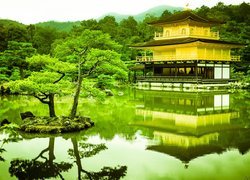 Park, Staw, Drzewa, Świątynia Kinkaku-ji, Złoty Pawilon, Kioto, Japonia