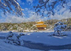 Zima, Świątynia Kinkaku ji, Złoty Pawilon, Staw Kyko chi, Drzewa, Kioto, Japonia