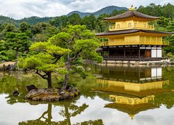 Świątynia Kinkaku-ji, Rokuon-ji, Złoty Pawilon, Staw Kyko chi, Drzewa, Kioto, Japonia