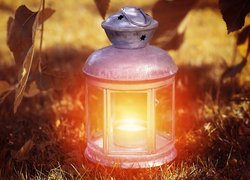 Świecący lampion postawiony na trawie