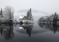 Świerki obok domu nad jeziorem