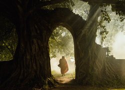 Sylwetka mnicha pod rozłożystym drzewem