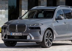 Szare, BMW X7