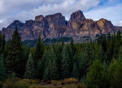 Kanada, Park Narodowy Banff, Góry, Góra Castle Mountain, Las, Drzewa