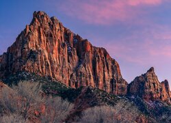 Góry, Góra Watchman, Skały, Krzewy, Park Narodowy Zion, Stan Utah, Stany Zjednoczone