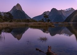 Zatoka Milforda, Fiord Milford, Góry, Alpy Południowe, Góra Mitre Peak, Odbicie, Konar, Park Narodowy Fiordland, Wyspa Południowa, Nowa Zelandia