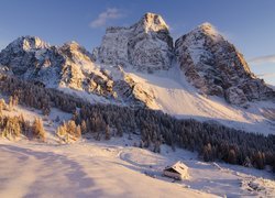 Włochy, Góry Dolomity, Szczyt Monte Pelmo, Zima, Las, Dom