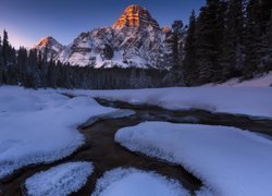 Kanada, Alberta, Park Narodowy Banff, Góry, Szczyt, Mount Chepren, Drzewa, Rzeka, Zima