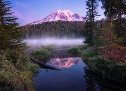 Stany Zjednoczone, Stan Waszyngton, Park Narodowy Mount Rainier, Jezioro Reflection Lakes, Szczyt Mount Rainier, Góra, Las, Drzewa, Mgła