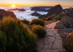 Portugalia, Madera, Góra, Pico do Arieiro, Zachód słońca, Mgła, Kamienna, Ścieżka, Rośliny