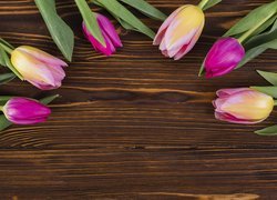 Sześć kolorowych tulipanów