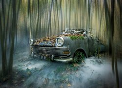 Szkielet we wraku samochodu w zamglonym lesie