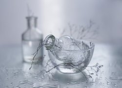 Szklane naczynia z suchymi gałązkami