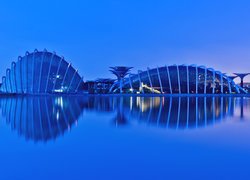 Szklarnie Flower Dome w singapurskim ogrodzie Gardens by the Bay