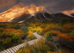 Nowa Zelandia, Park Narodowy Góry Cooka, Szlak Hooker Valley, Góry, Góra Cooka, Roślinność, Dróżka