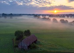 Szopa pod drzewami na zamglonej o poranku łące