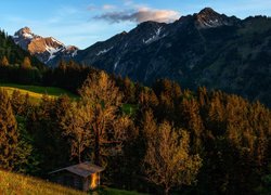 Góry, Las, Drzewa, Drewniana, Szopa, Łąki, Chmury