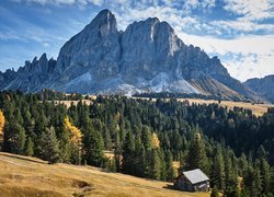 Góry, Góra Peitlerkofel, Dolomity, Drzewa, Drewniana, Szopa, Włochy