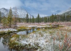 Góry, Kołymskie, Jezioro, Jacka Londona, Drzewa, Zima, Magadan, Rosja