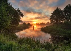 Szuwary i drzewa nad rzeką w blasku zachodzącego słońca