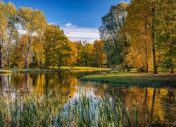 Park, Drzewa, Staw, Szuwary, Jesień