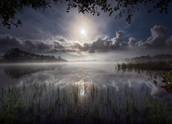 Jezioro, Szuwary, Księżyc, Chmury, Noc