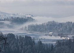 Szwajcarska gmina Hirzel w zimowej szacie