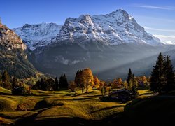 Szwajcaria, Kanton Berno, Wieś Grindelwald, Góry, Alpy Berneńskie, Drzewa, Domy