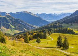 Szwajcarskie góry i łąki