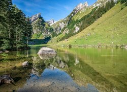 Jezioro Seealpsee, Góry Alpy, Kamienie, Drzewa, Kanton Appenzell Innerrhoden, Szwajcaria