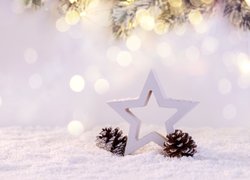 Szyszki obok gwiazdy na śniegu