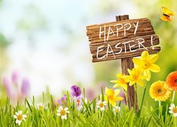 Wielkanoc, Napis, Happy Easter, Kwiaty, Krokusy, Żonkile, Gerbery, Motyl