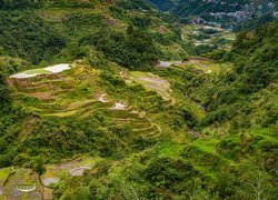 Tarasy ryżowe w filipińskiej prowincji Ifugao