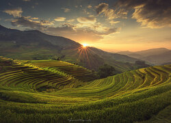 Tarasy ryżowe w Wietnamie w promieniach słońca