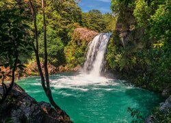Wodospad, Tawhai Falls, Jezioro, Drzewa, Roślinność, Park Narodowy Tongariro, Nowa Zelandia