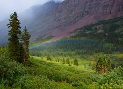 Góra, Maroon Bells, Wzgórza, Drzewa, Krzewy, Tęcza, Kolorado, Stany Zjednoczone