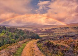 Anglia, Hrabstwo Derbyshire, Park Narodowy Peak District, Dolina Longdendale, Wzgórza, Tęcza, Droga, Las, Drzewa