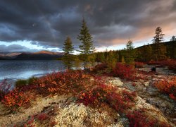 Jesień, Drzewa, Kolorowa, Roślinność, Góry, Jezioro Jack London, Tęcza, Kołyma, Magadan, Rosja