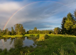 Tęcza nad jeziorem wśród drzew